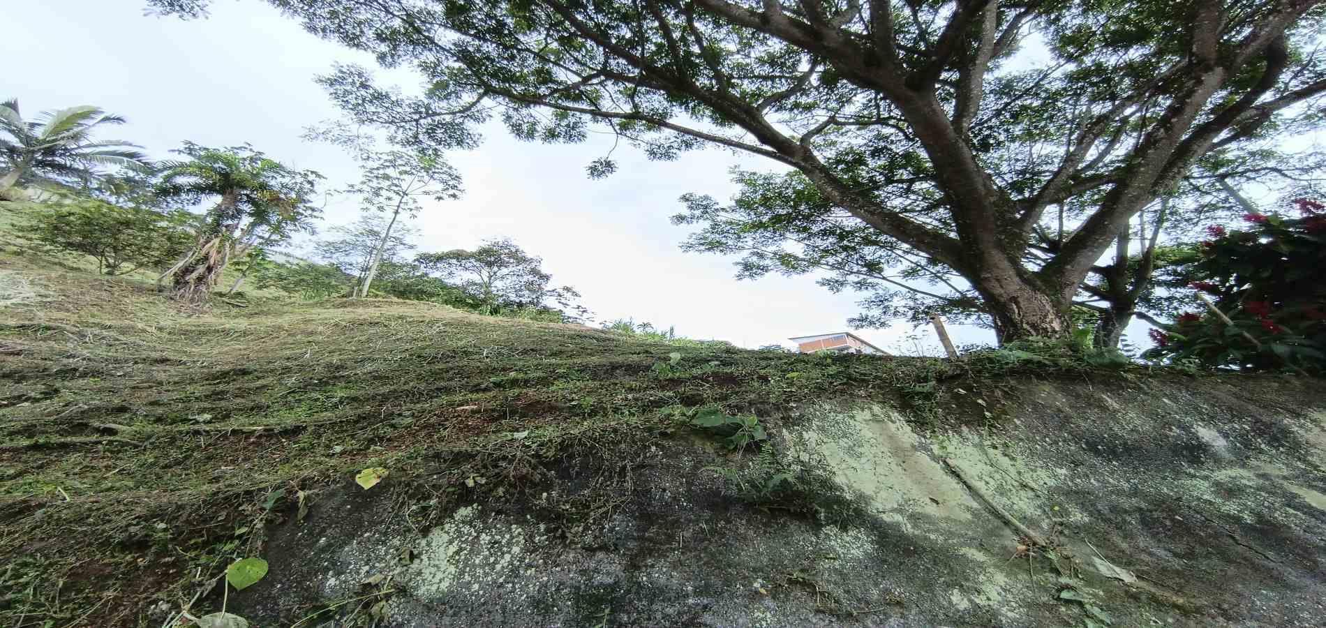 Foto de Lote / terreno en Venta en Vereda la trinidad, Manizales - 3 - 279066610