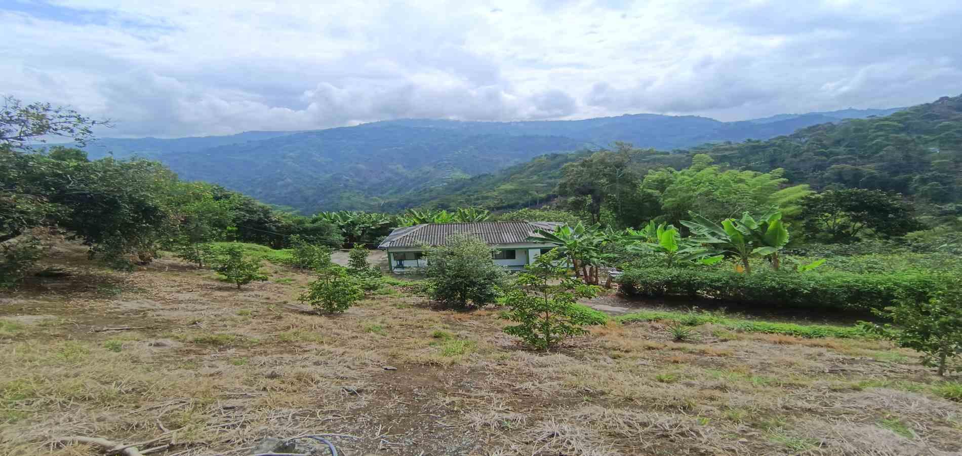 Foto de Casa en Venta en San peregrino, Manizales - 4 - 279070004