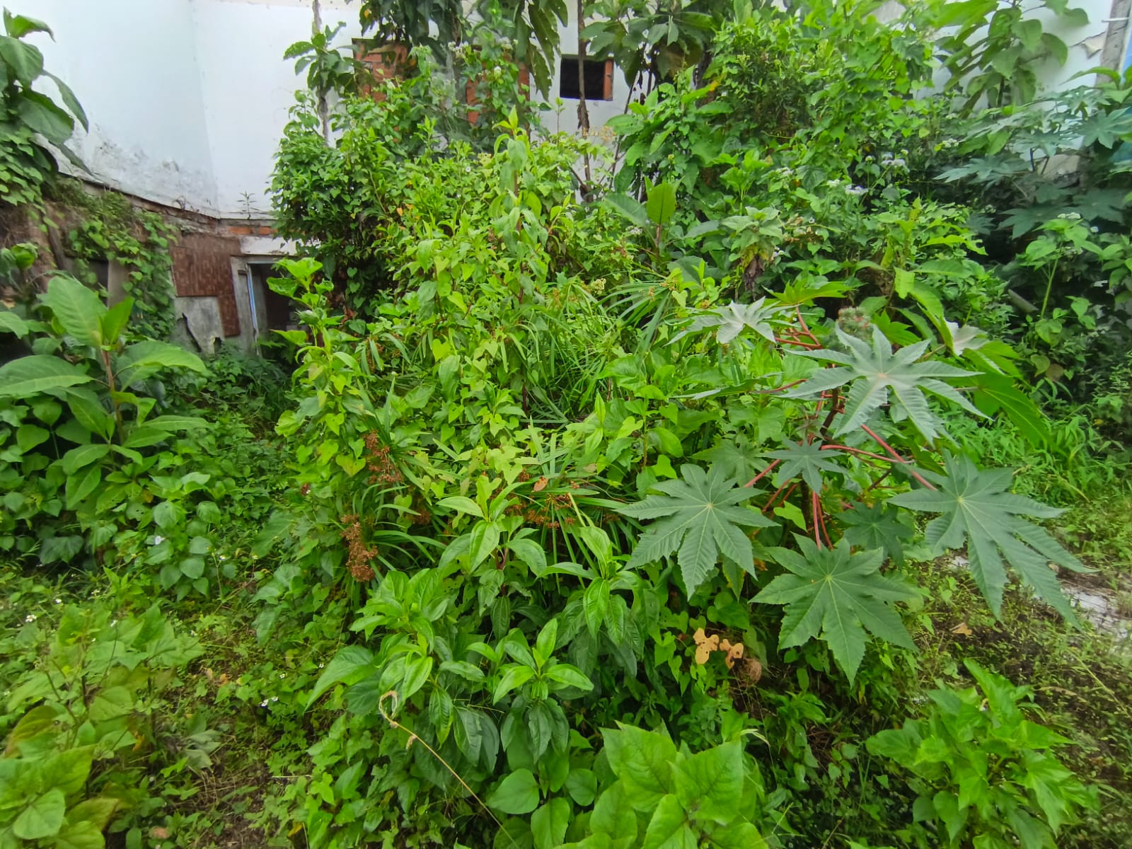 Foto de Lote / terreno en Venta en Fátima, Manizales - 3 - 279068979