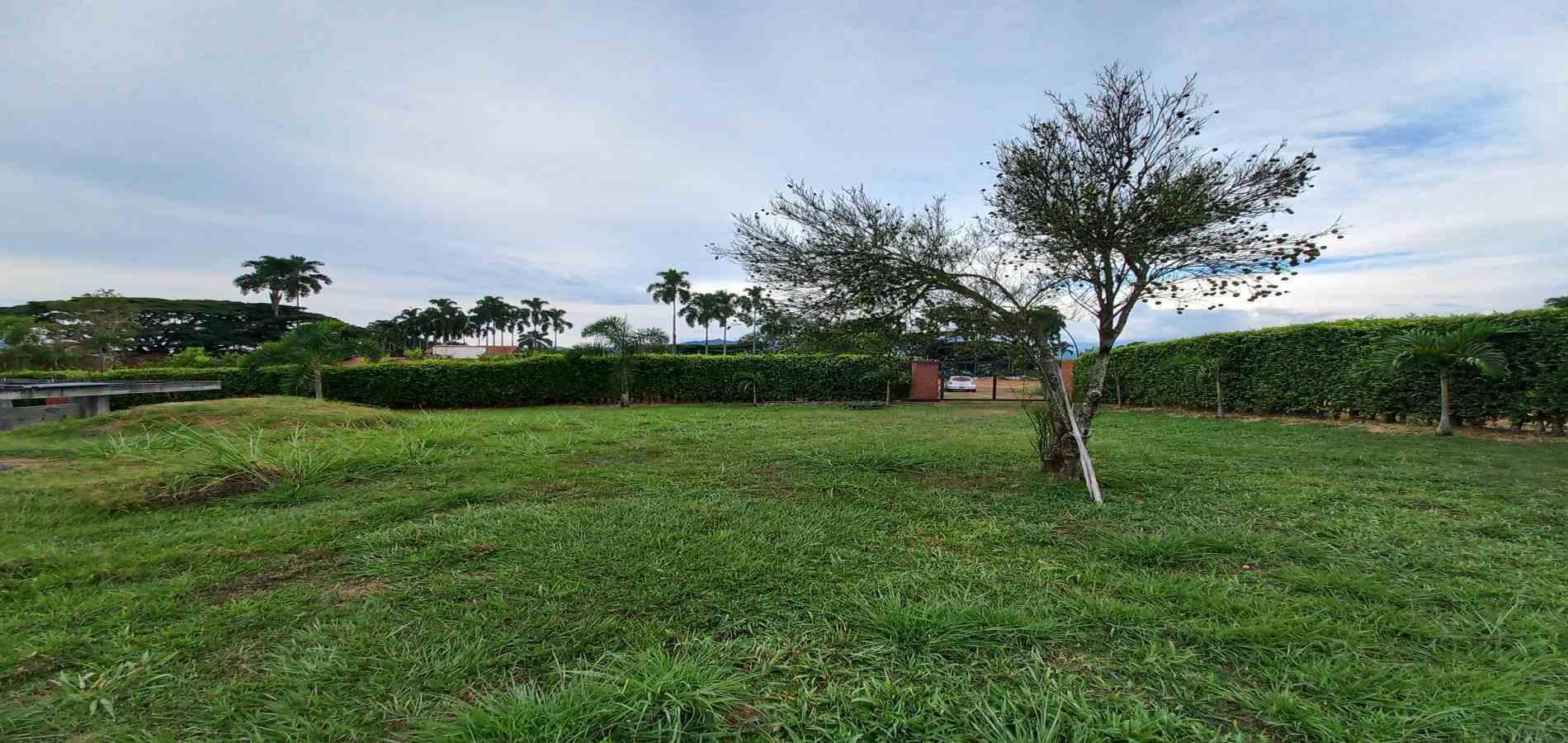Foto de Lote / terreno en Venta en Cerritos, Pereira - 8 - 279069890