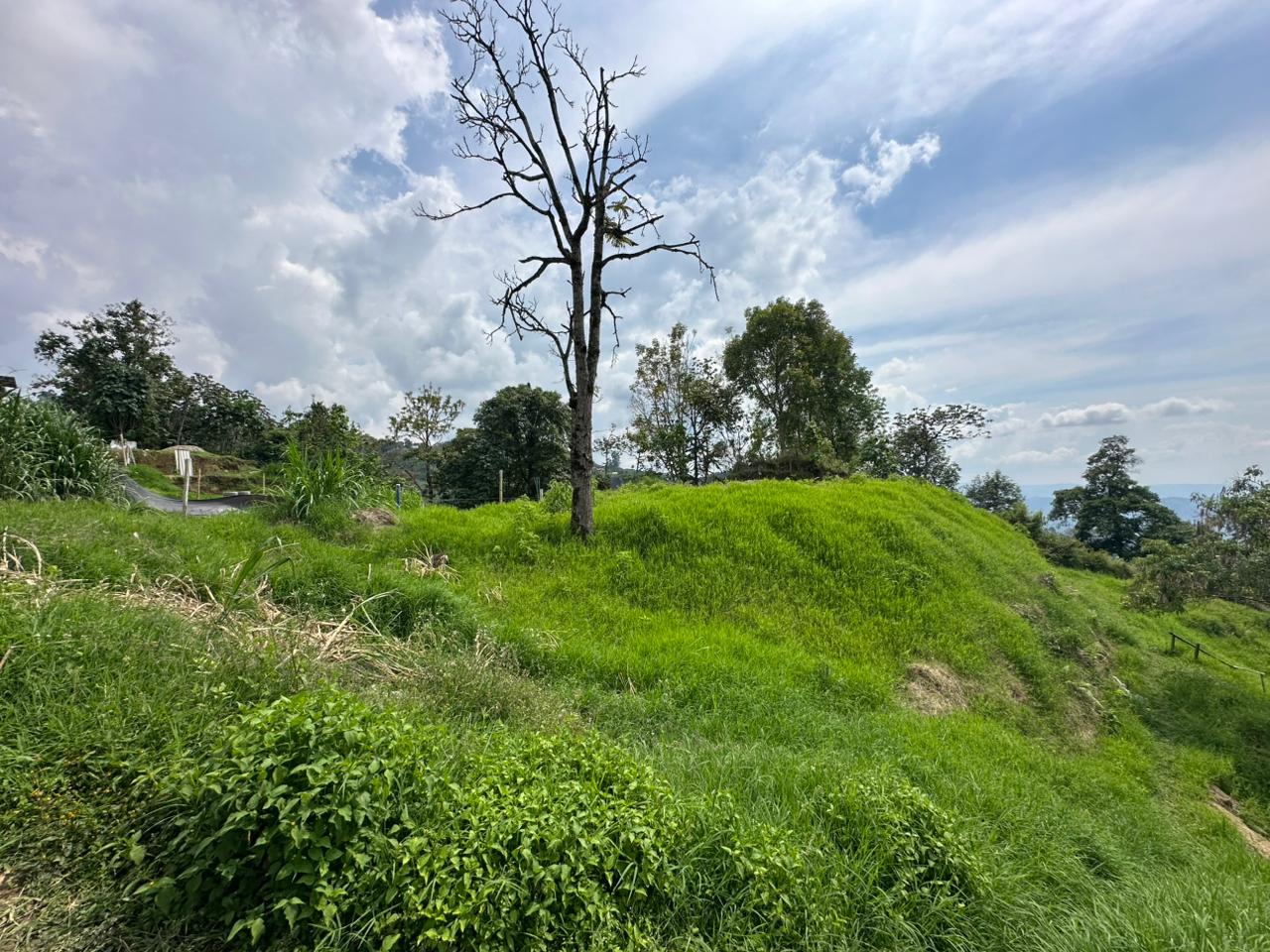 Foto de Lote / terreno en Venta en Arenillo, Manizales - 11 - 279067215
