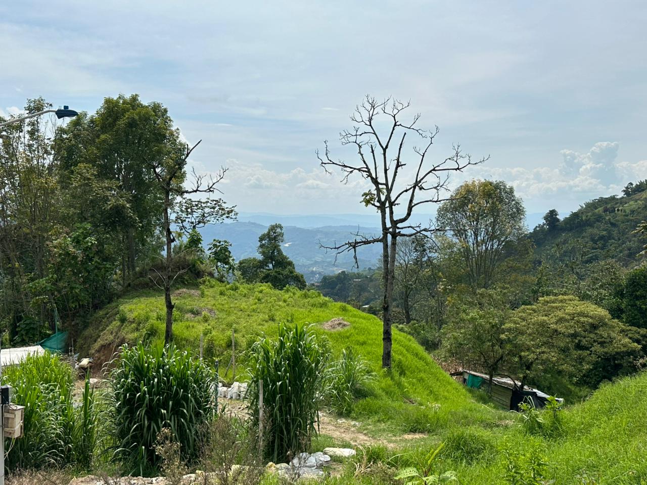 Foto de Lote / terreno en Venta en Arenillo, Manizales - 10 - 279067215