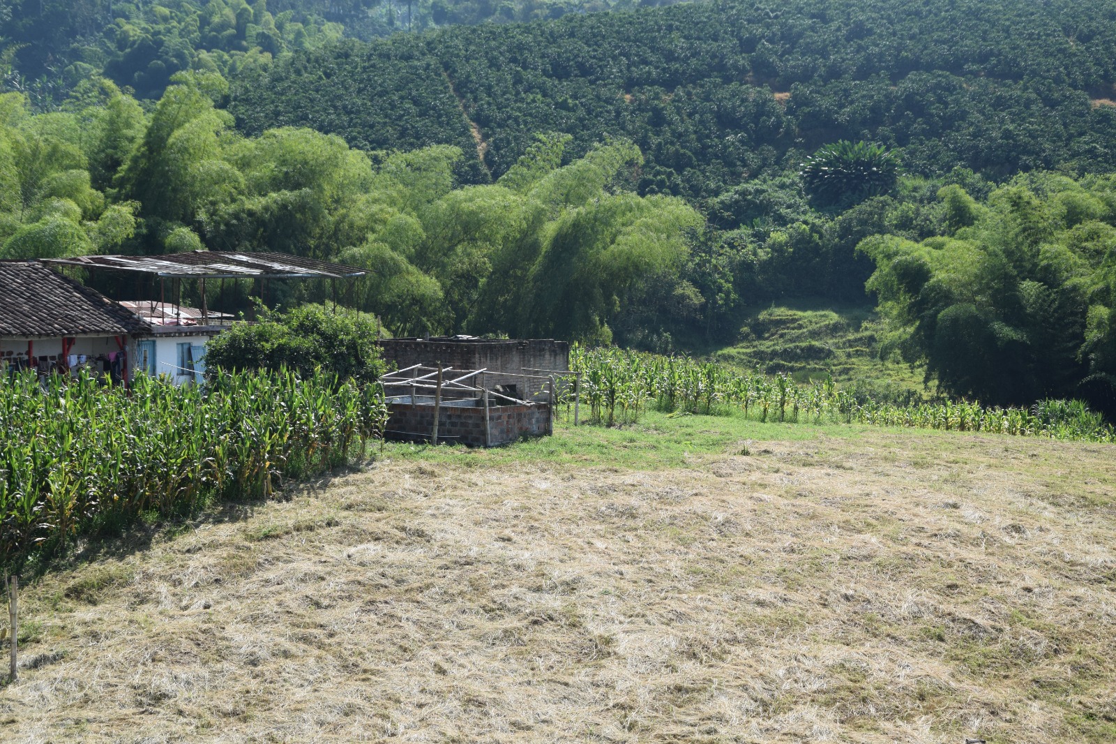 Foto de Finca en Venta en La cabaña, Manizales - 12 - 279058352