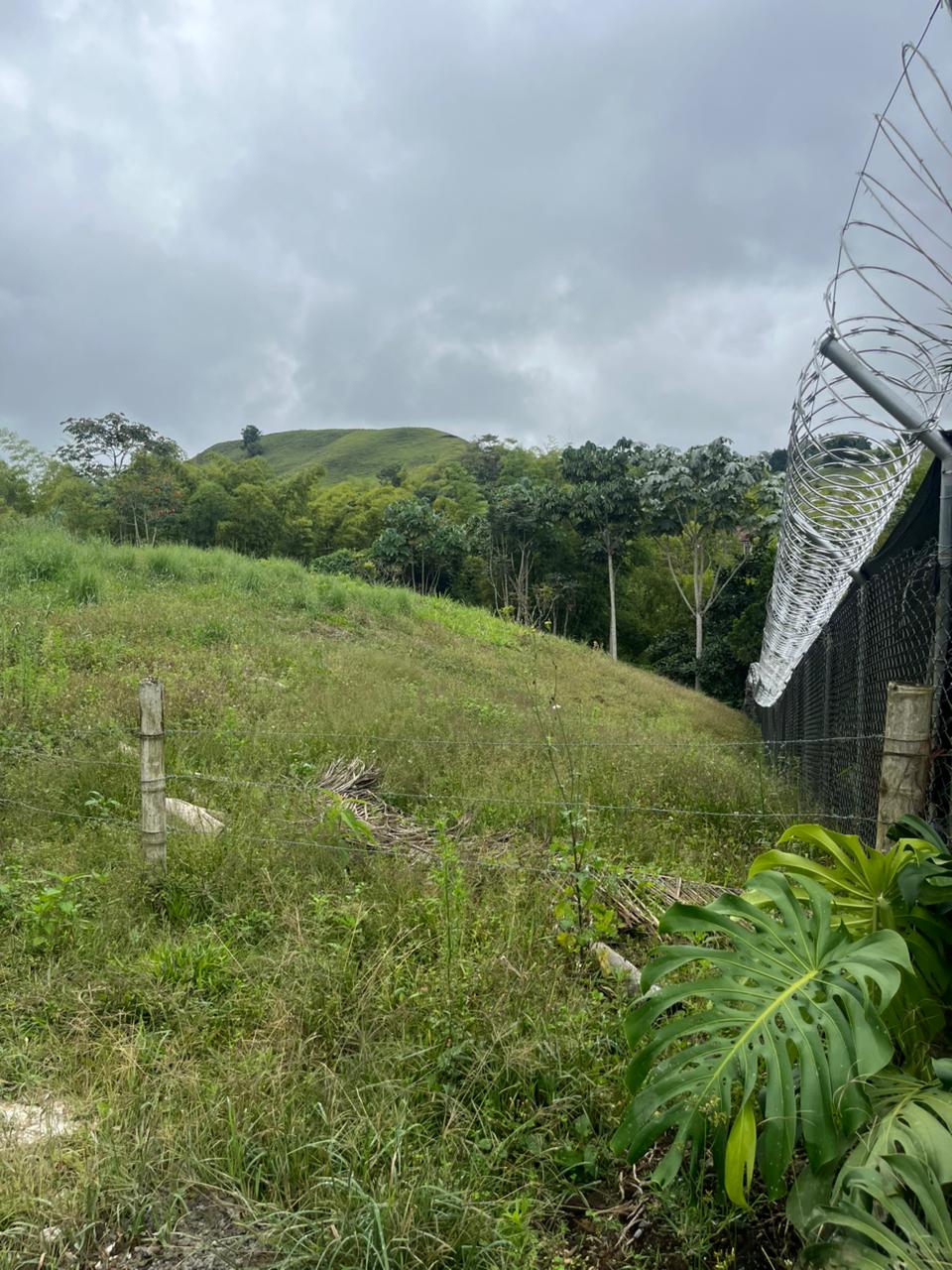 Foto de Lote / terreno en Venta en Via armenia, Pereira - 4 - 279063098