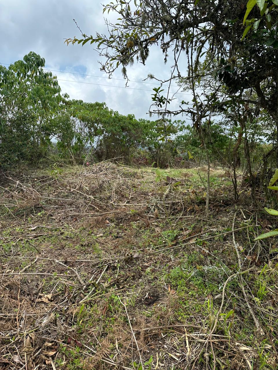 Foto de Lote / terreno en Venta en Vereda peÑalisa, Fresno - 4 - 279021740