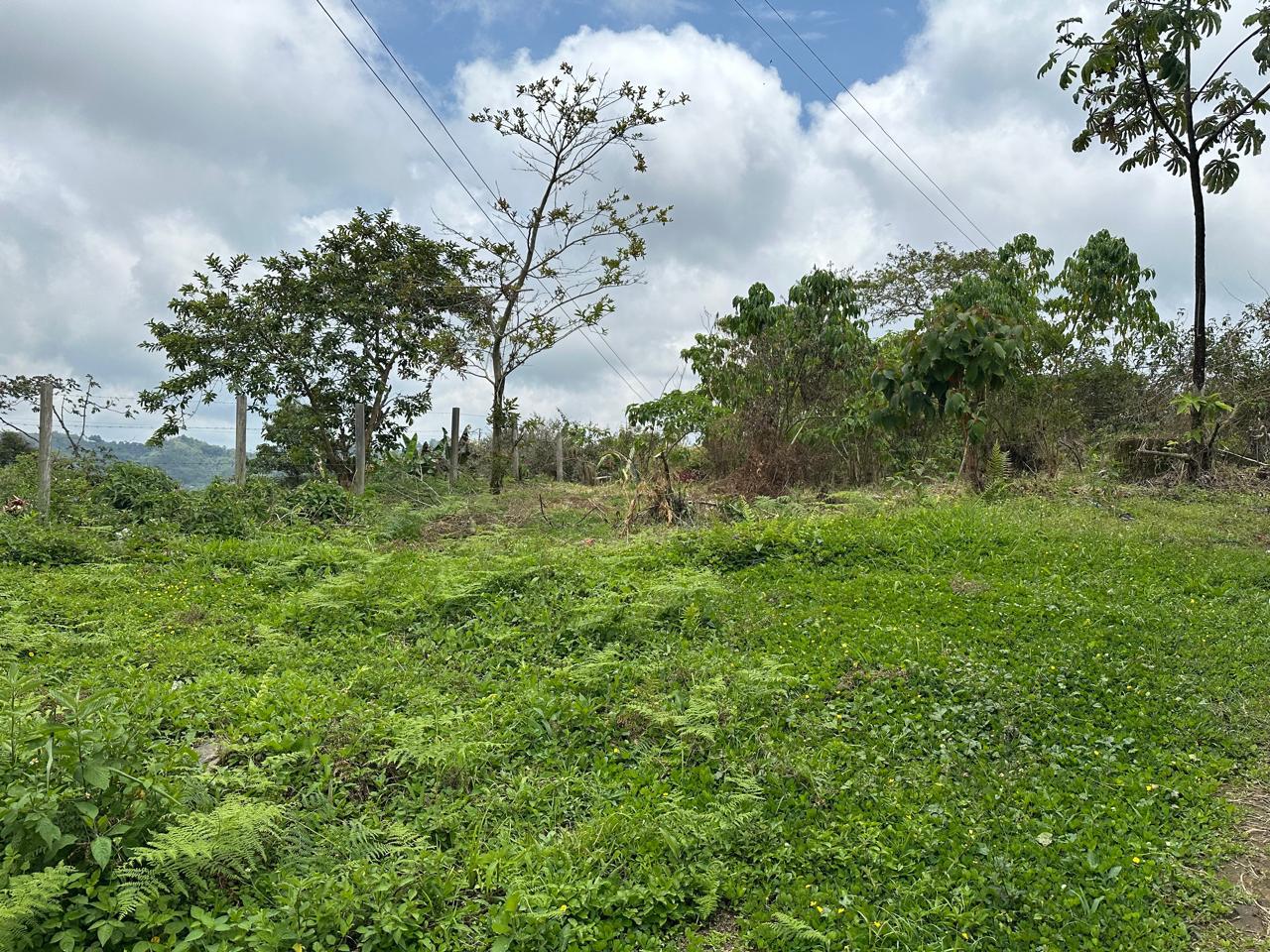 Foto de Lote / terreno en Venta en Vereda peÑalisa, Fresno - 6 - 279021740