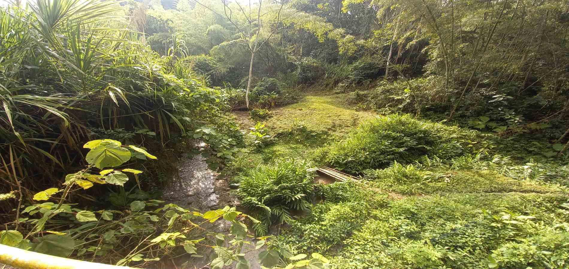 Foto de Lote / terreno en Venta en Vereda la trinidad, Manizales - 9 - 279062689
