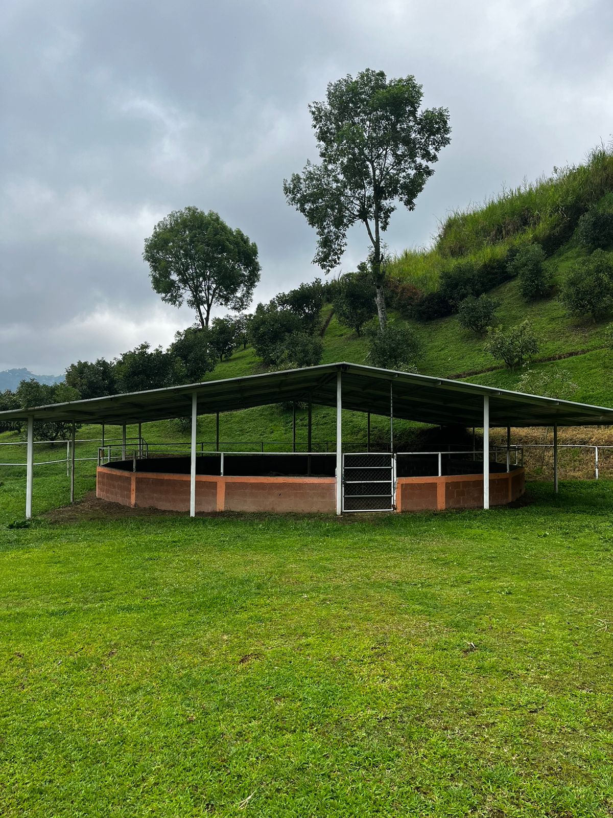 Foto de Finca en Venta en La florida, Pereira - 8 - 279058759