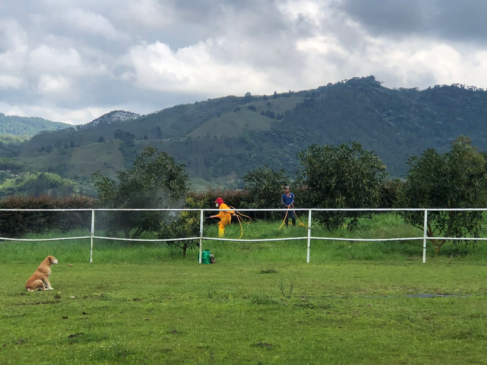 Foto de Finca en Venta en La florida, Pereira - 16 - 279058759