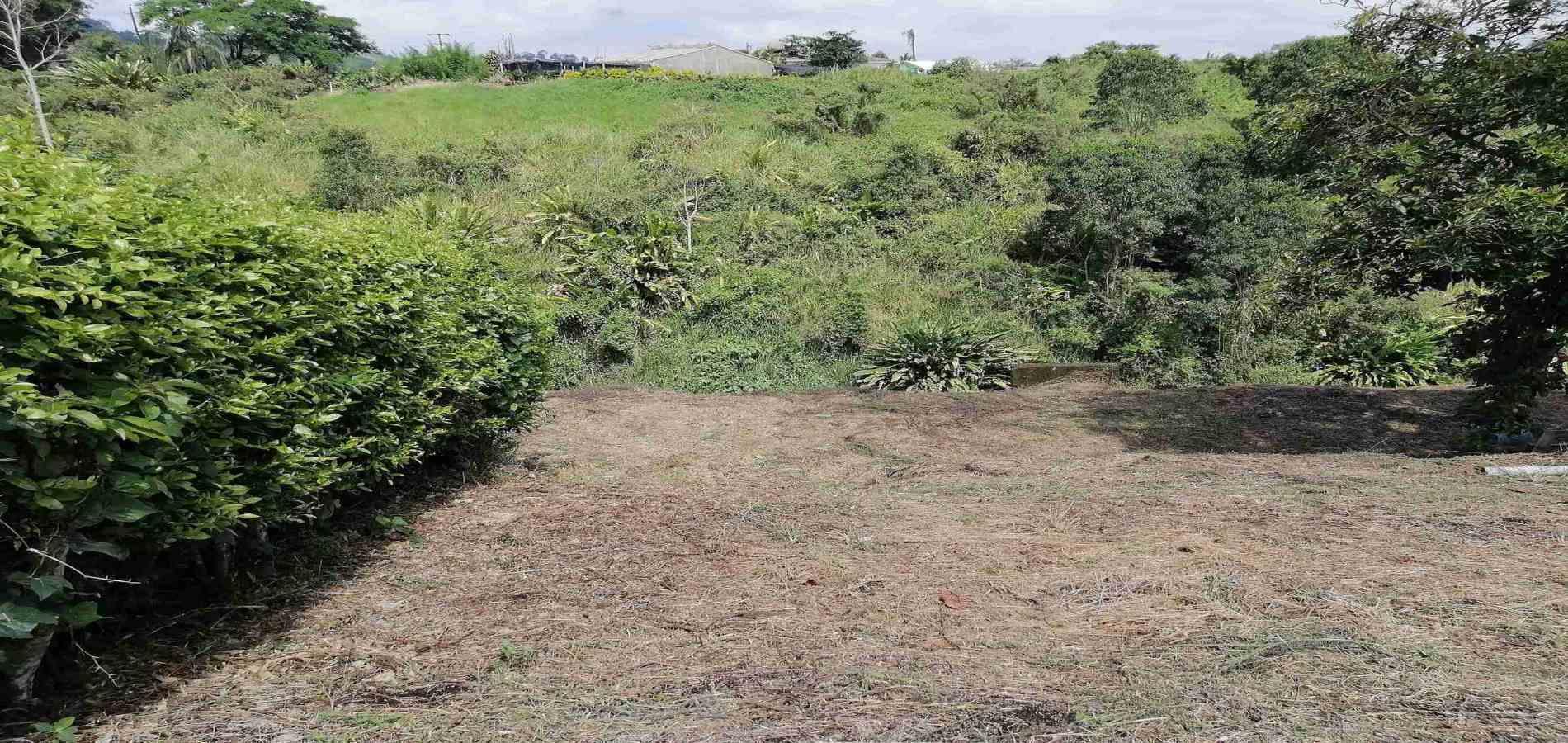 Foto de Lote / terreno en Venta en Combia, Pereira - 5 - 279056754