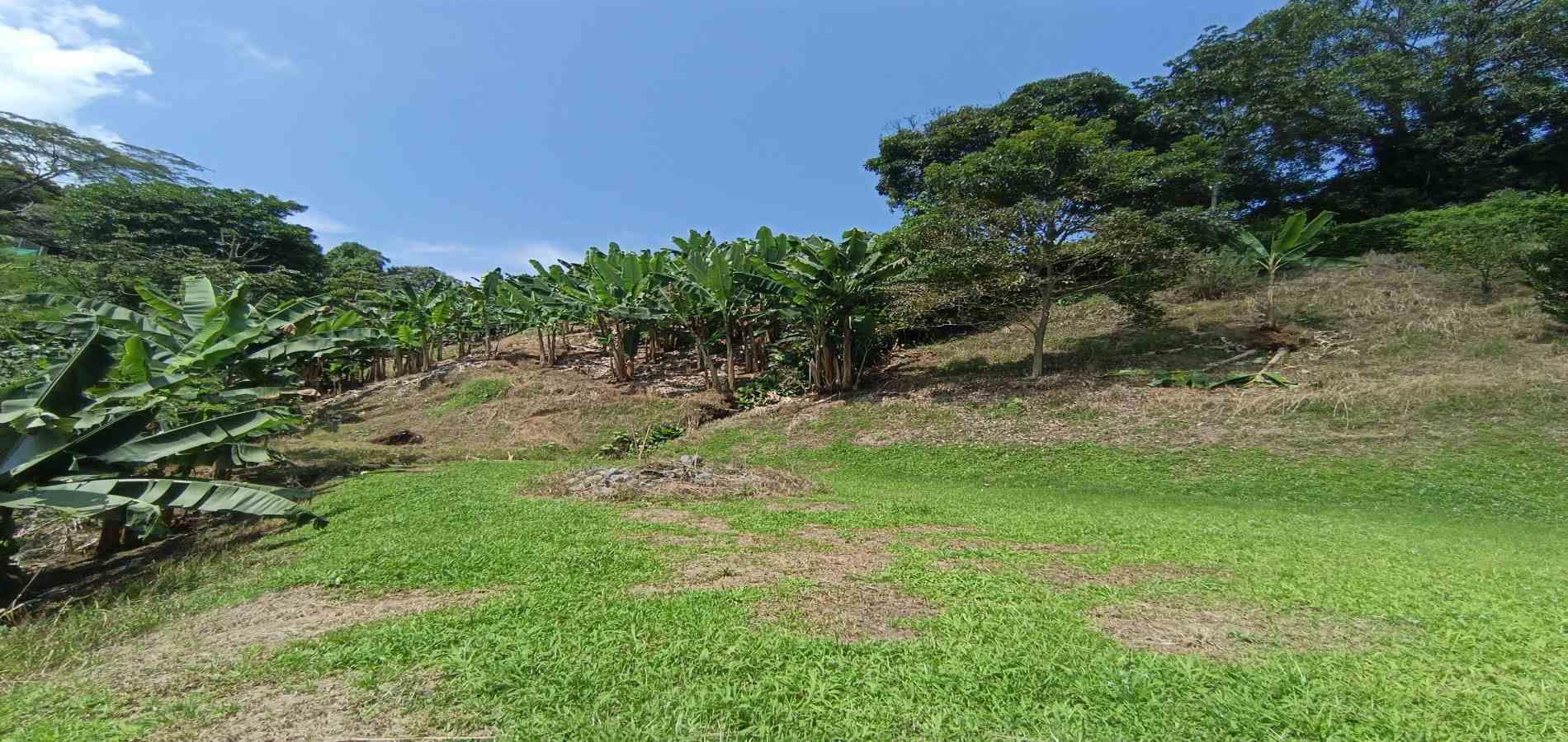 Foto de Lote / terreno en Venta en La plata, Palestina - 19 - 279067174