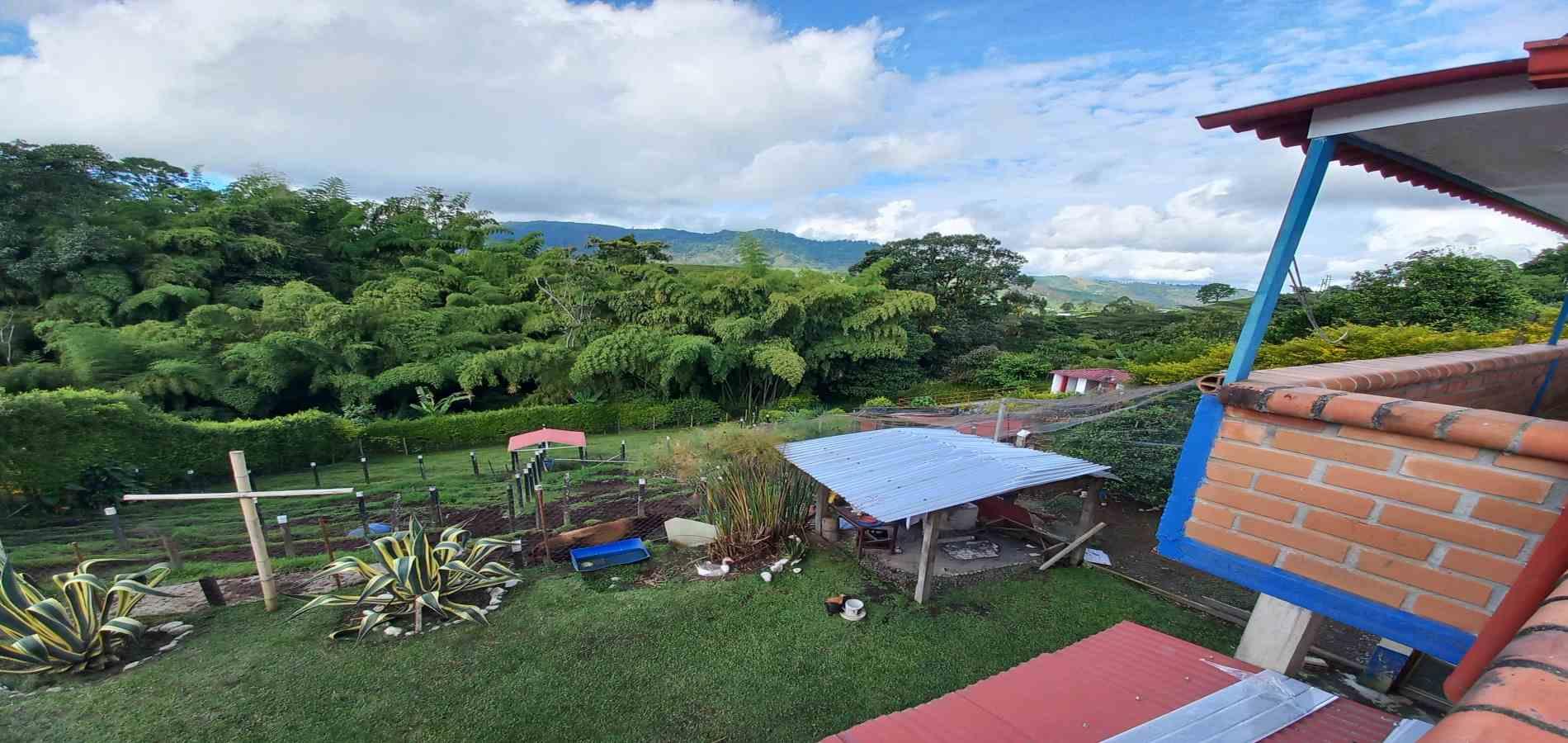 Foto de Finca en Venta en Santa rosa de cabal, Santa rosa de cabal - 14 - 279066372