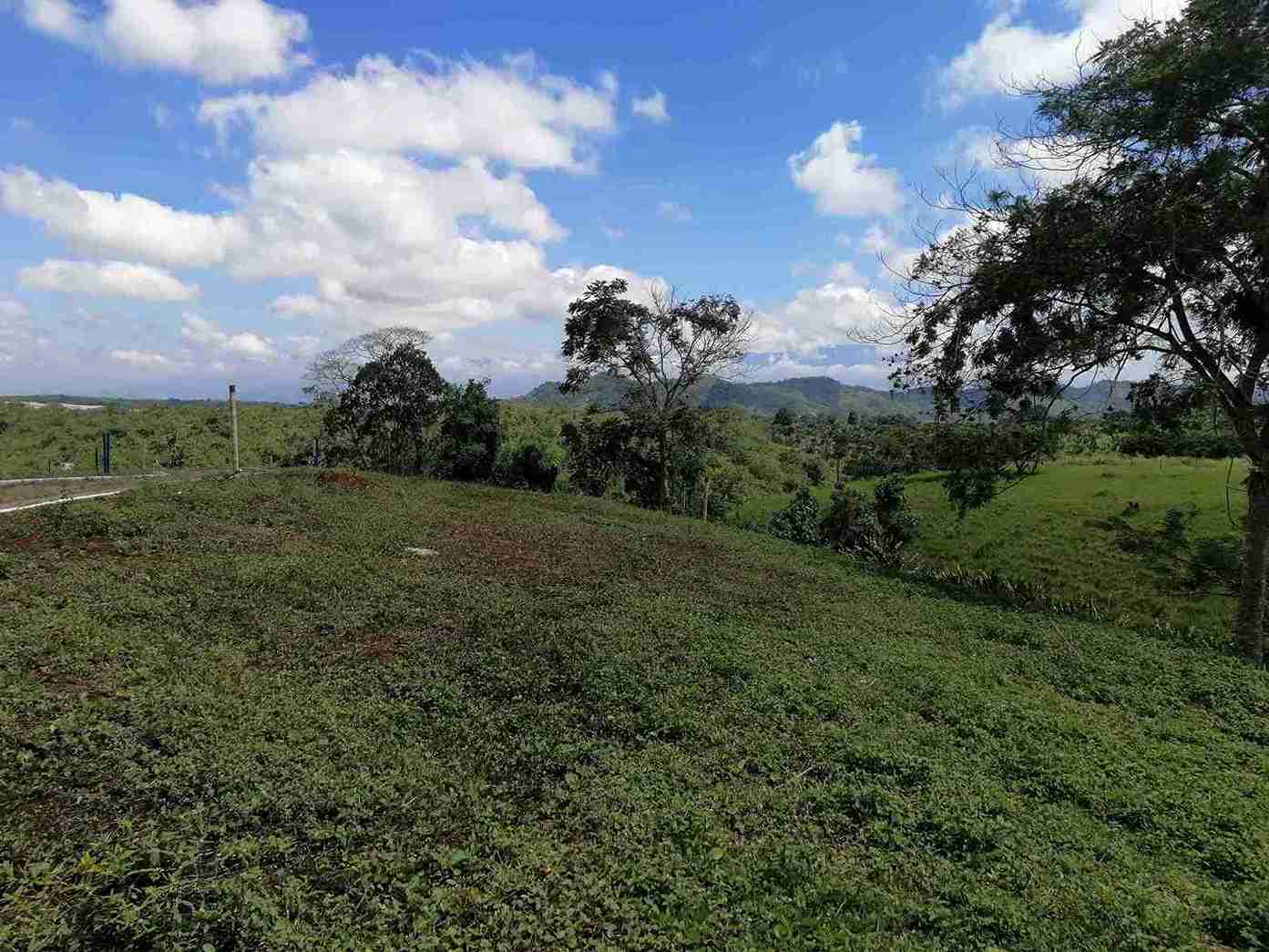 Foto de Lote / terreno en Venta en Combia, Pereira - 9 - 279058096