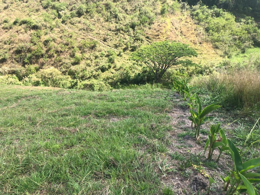 Foto de Lote / terreno para Venta en Cerritos, Pereira - 279055622