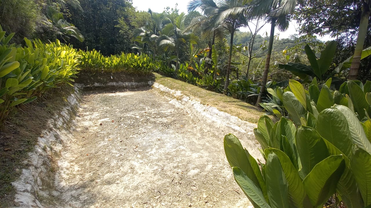 Foto de Lote / terreno en Venta en San peregrino, Manizales - 16 - 279056653