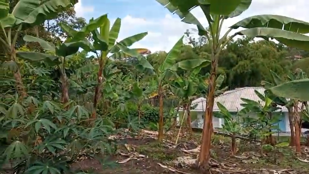 Foto de Lote / terreno en Venta en Vereda yarumal, Pereira - 4 - 279065326