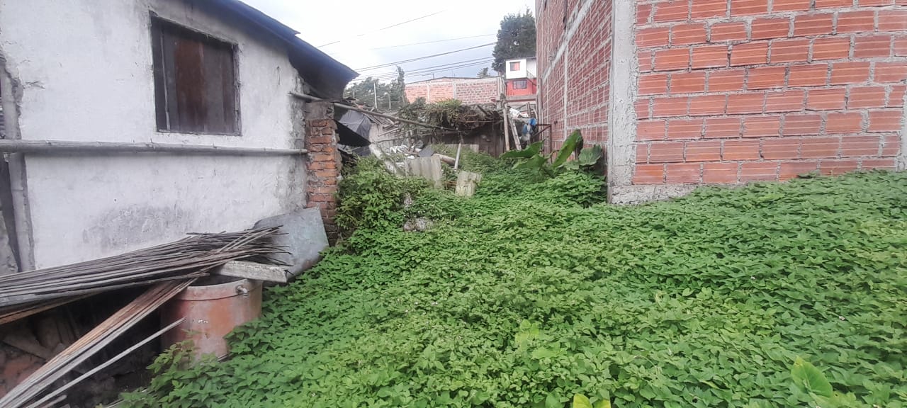 Foto de Lote / terreno para Venta en Urapanes, Villamaria - 53078