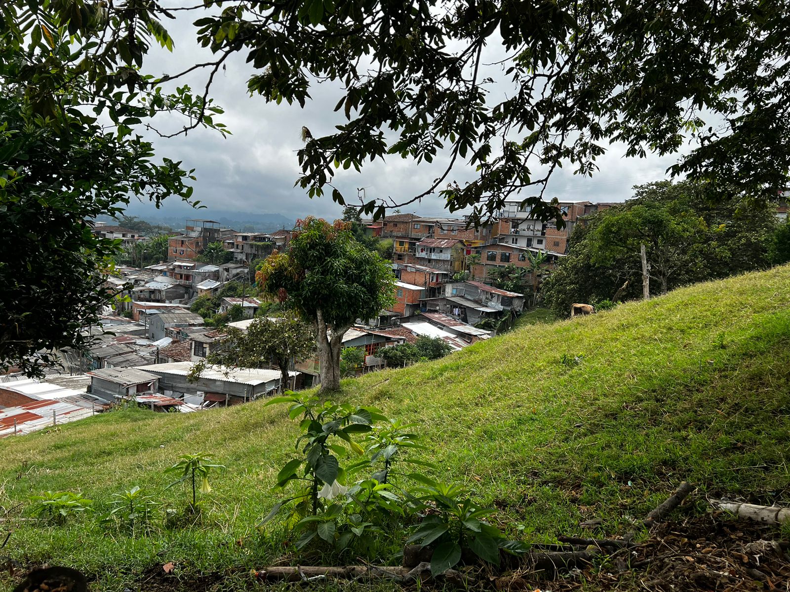 Foto de Lote / terreno en Venta en Altagracia, Pereira - 11 - 279056515