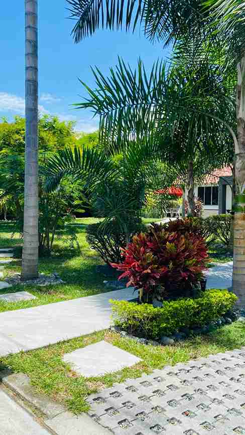 Foto de Casa campestre en Venta en Kilometro 41, Manizales - 12 - 279057052