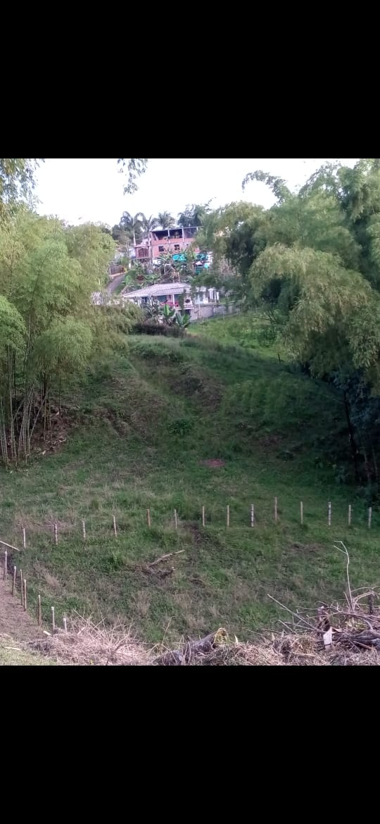 Foto de Lote / terreno para Venta en Vereda yarumal, Pereira - 279065328
