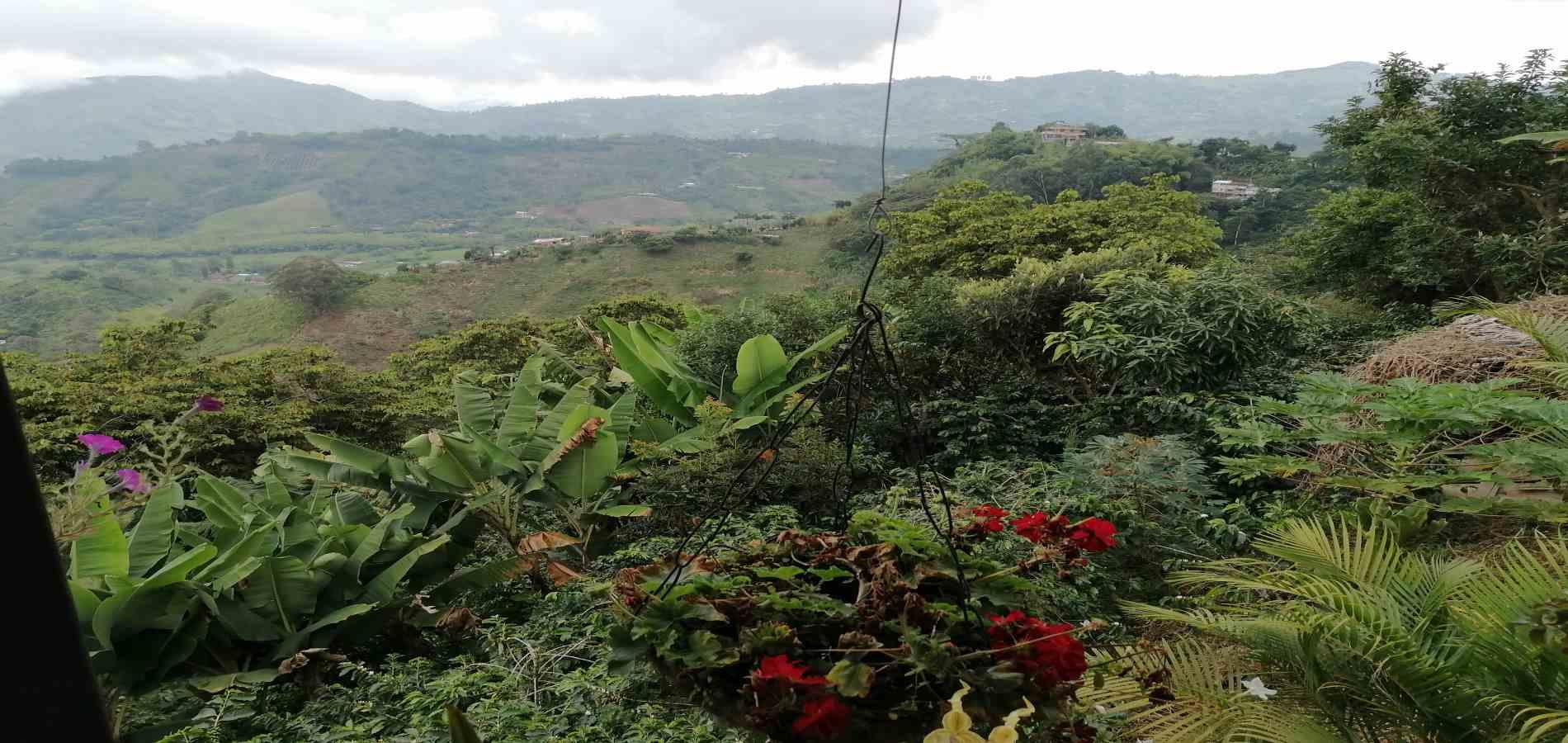 Foto de Finca en Venta en Parque industrial, Pereira - 24 - 279056903