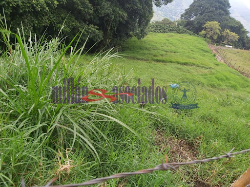 Foto de Finca en Venta en Vereda san luis , Filadelfia - 8 - 279013551