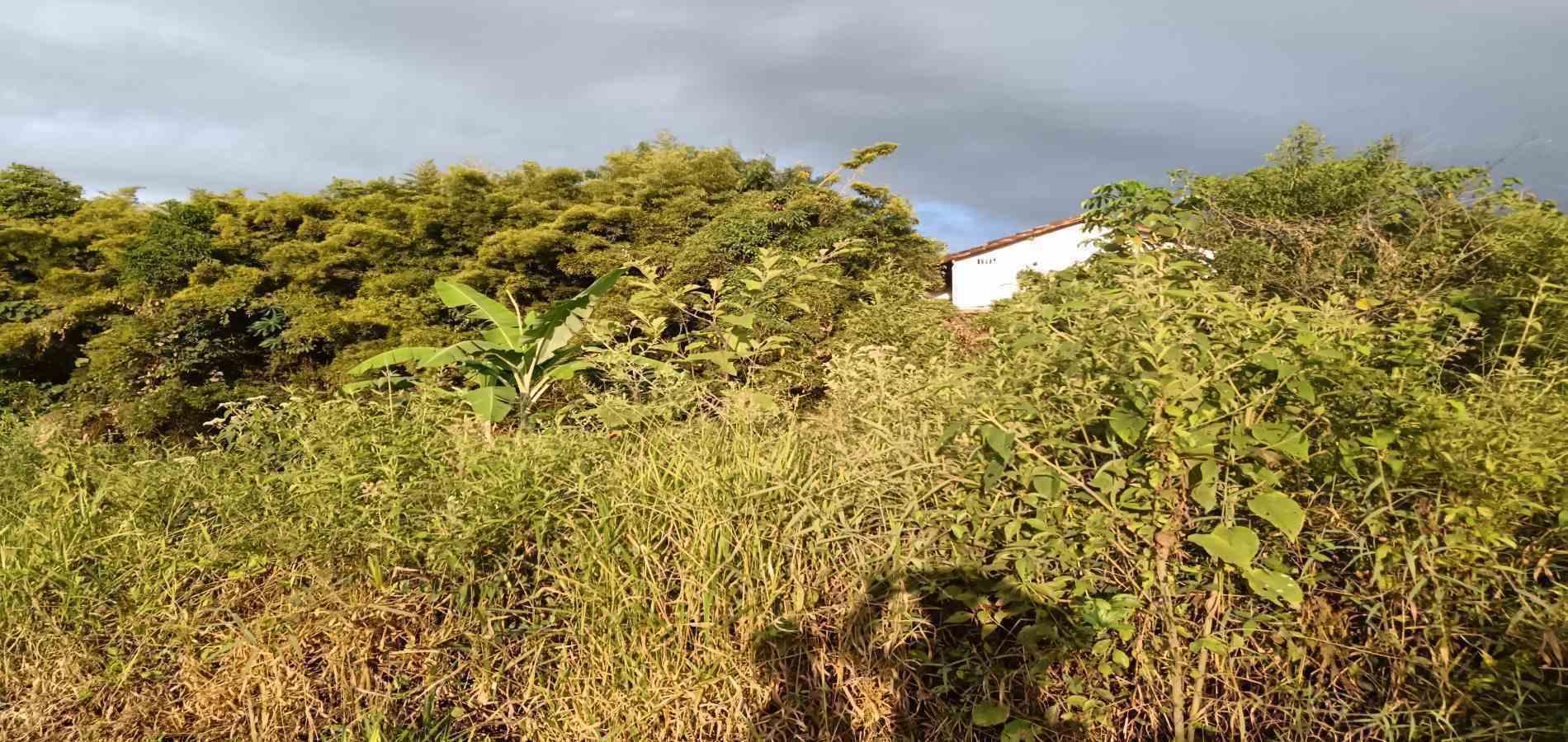 Foto de Lote / terreno en Venta en UrbanizaciÓn santana, Armenia  - 17 - 279059323