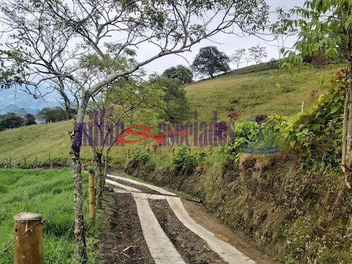 Foto de Finca en Venta en Vereda san luis , Filadelfia - 7 - 279013551