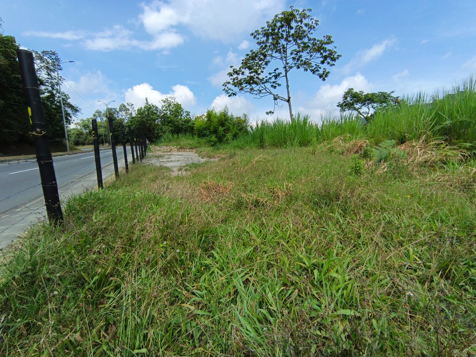 Foto de Lote / terreno para Venta en Panamericana, Manizales - 279063717