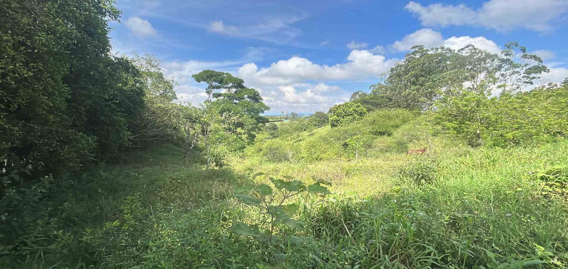 Foto de Lote / terreno en Venta en Via alcala, Pereira - 8 - 279066756