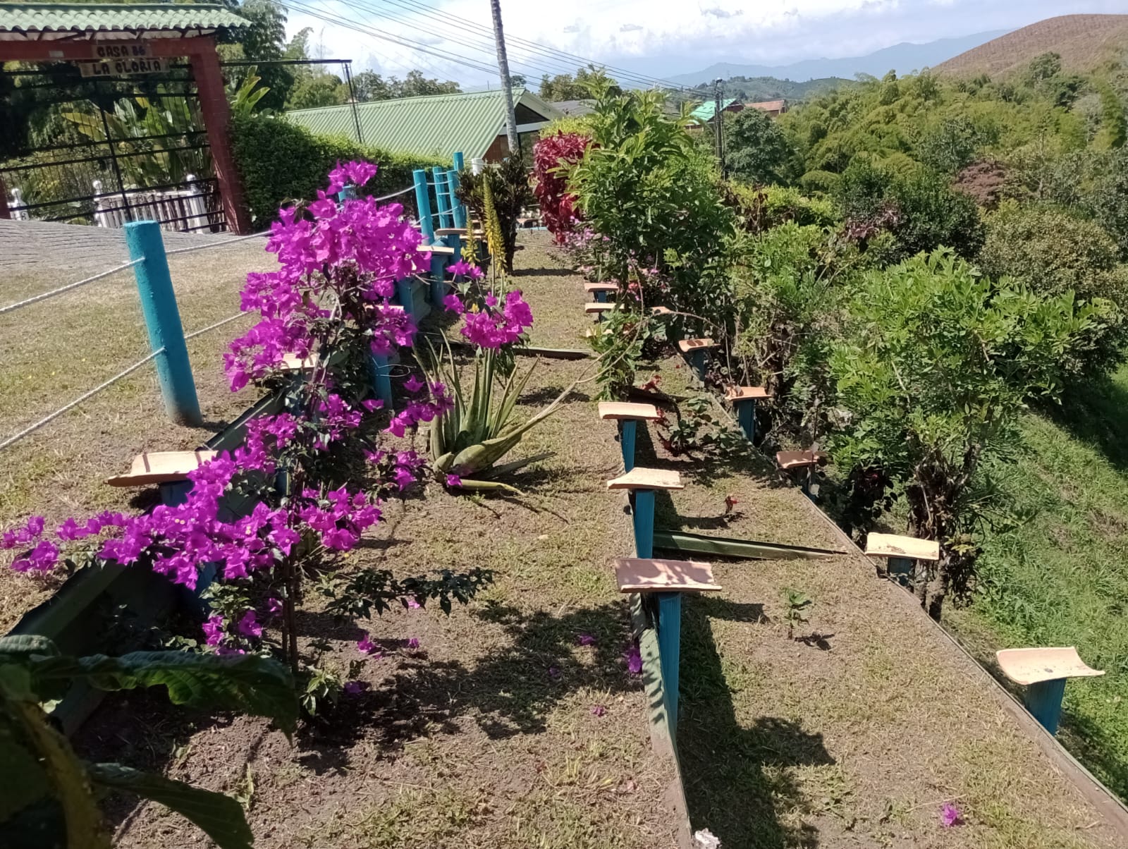 Foto de Casa campestre en Venta en Vereda santagueda, Palestina - 3 - 279062848