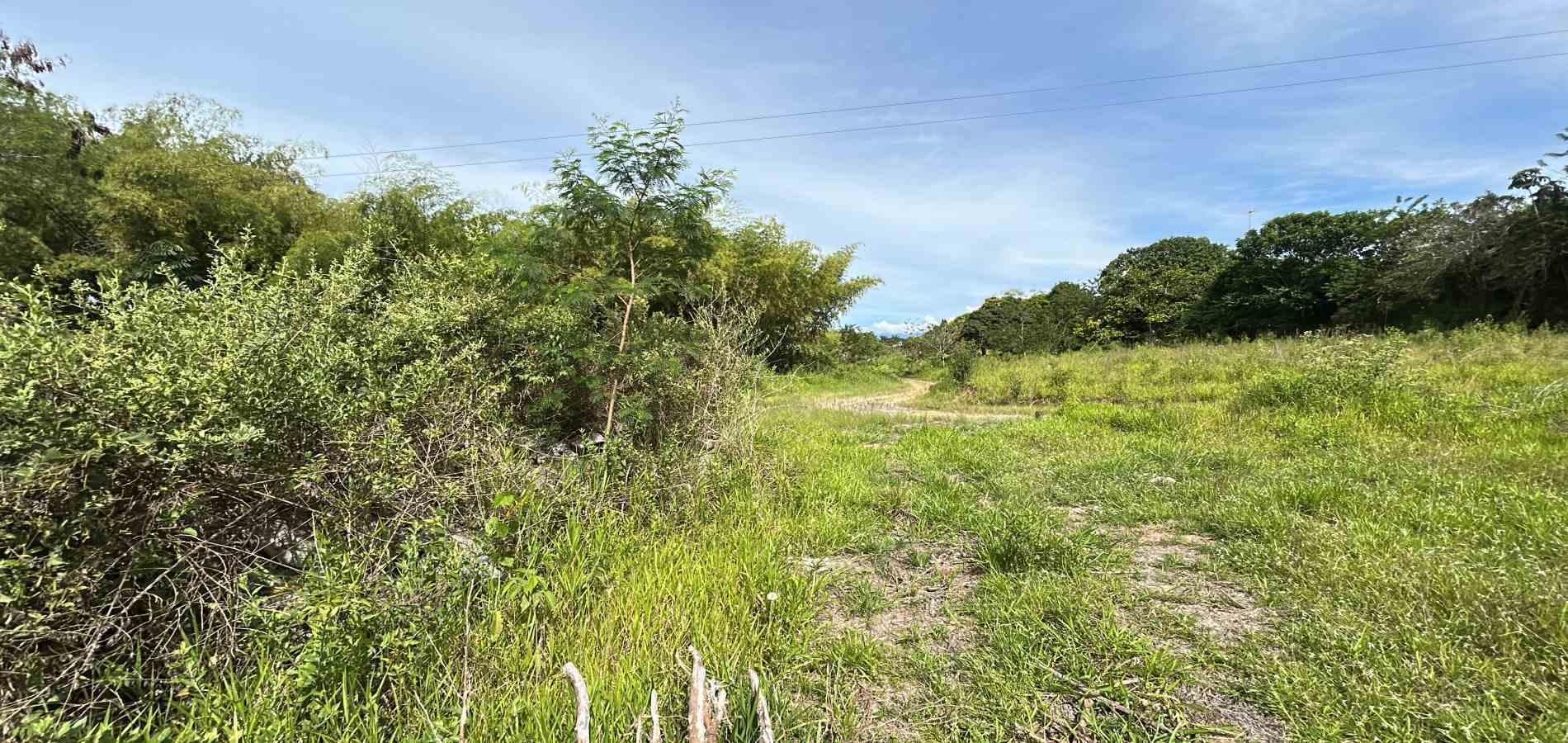 Foto de Lote / terreno en Venta en Cerritos, Pereira - 6 - 279068089