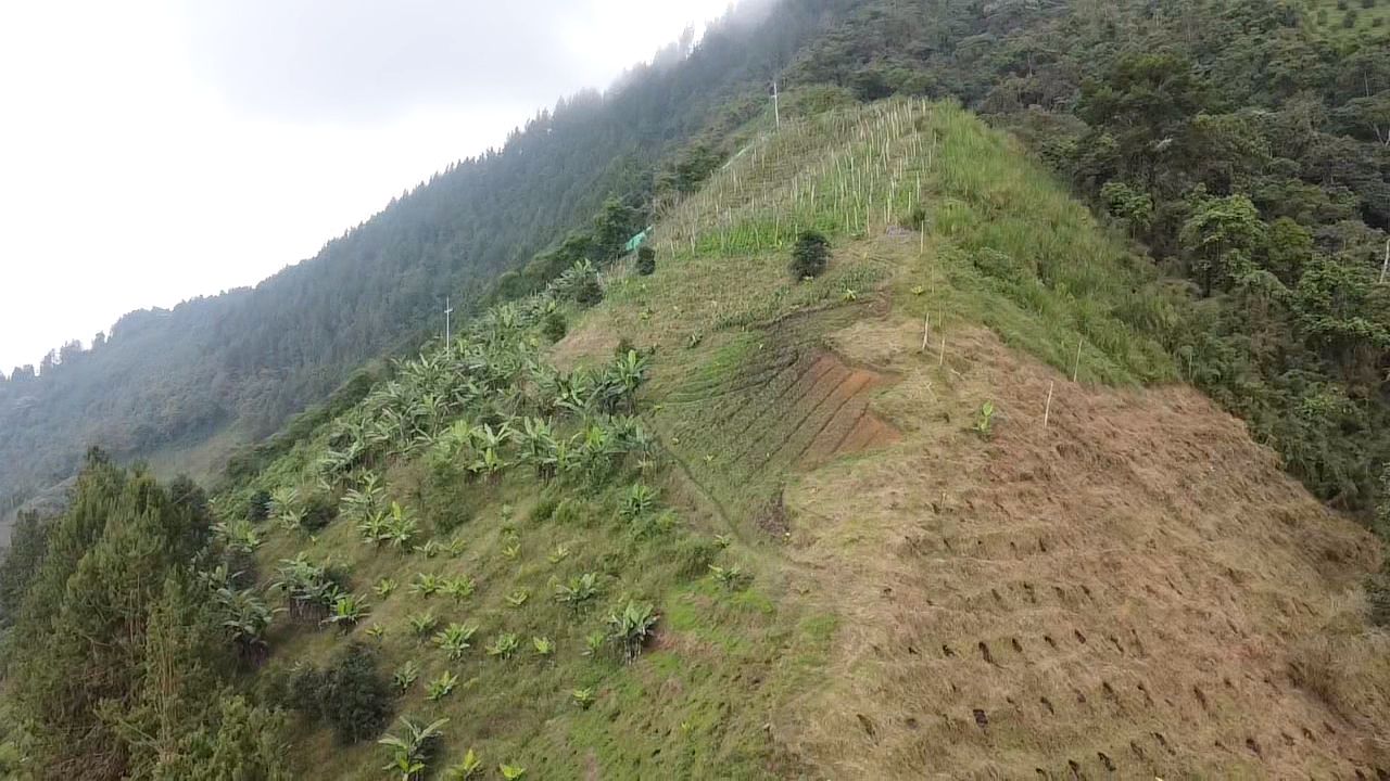 Foto de Lote / terreno en Venta en Llanitos, Villamaria - 14 - 279054085