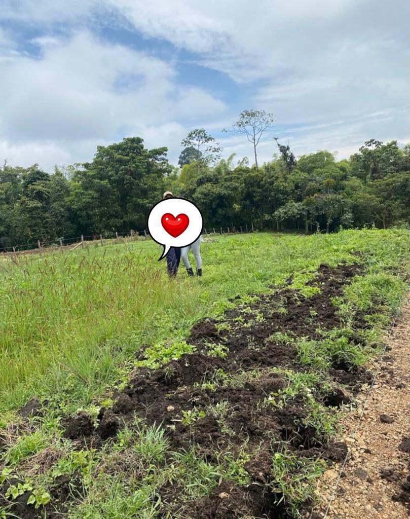 Foto de Lote / terreno en Venta en La bella, Pereira - 2 - 279062171