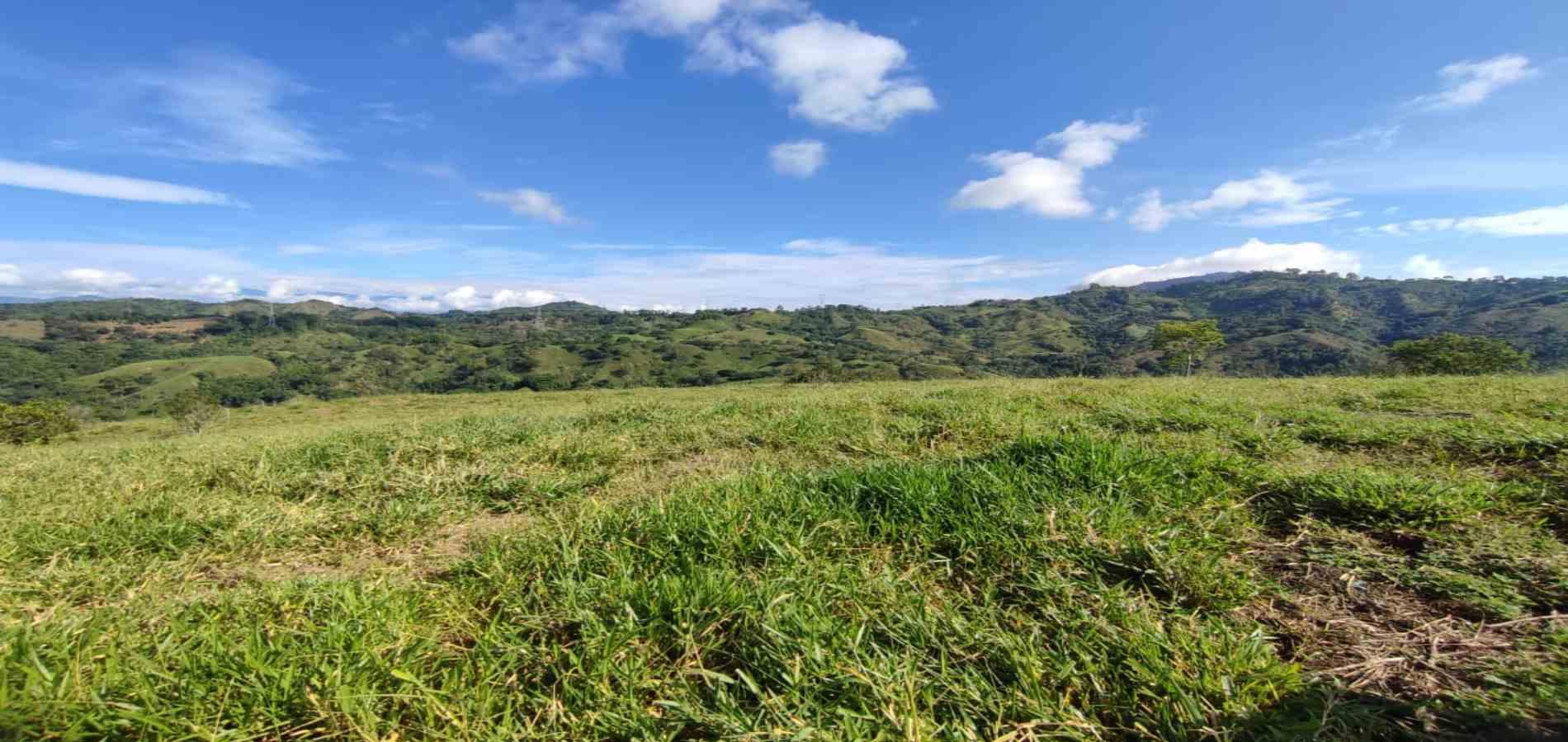 Foto de Lote / terreno en Venta en Cerritos, Pereira - 20 - 279064552