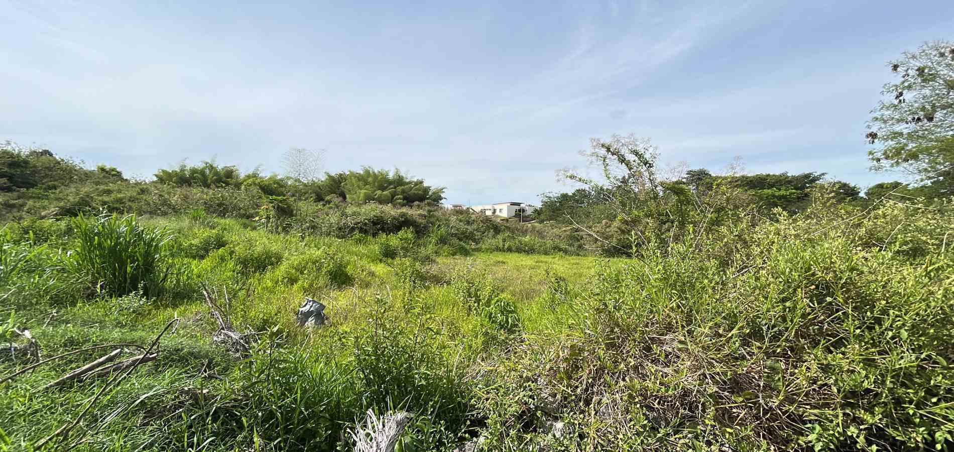 Foto de Lote / terreno en Venta en Cerritos, Pereira - 4 - 279068089
