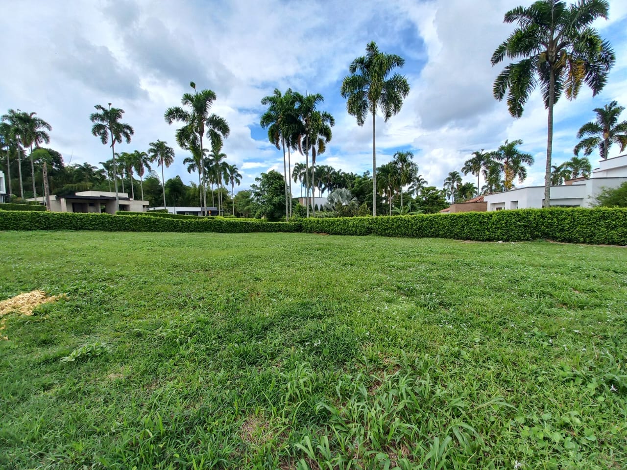 Foto de Lote / terreno para Venta en Cerritos, Pereira - 279066386