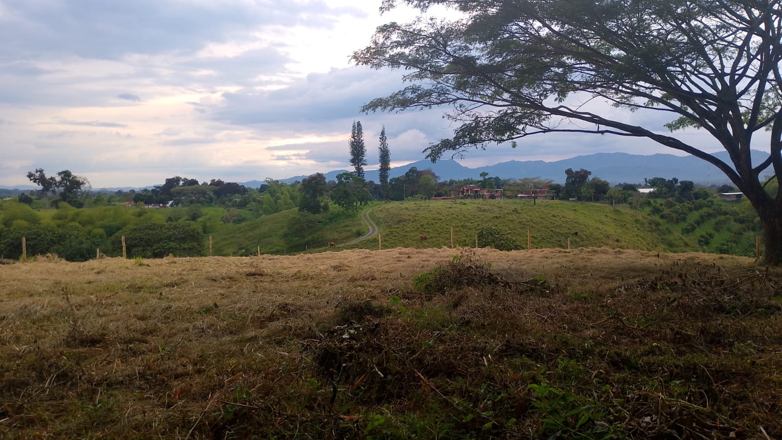 Foto de Lote / terreno en Venta en Filandia, Filandia - 2 - 279066855