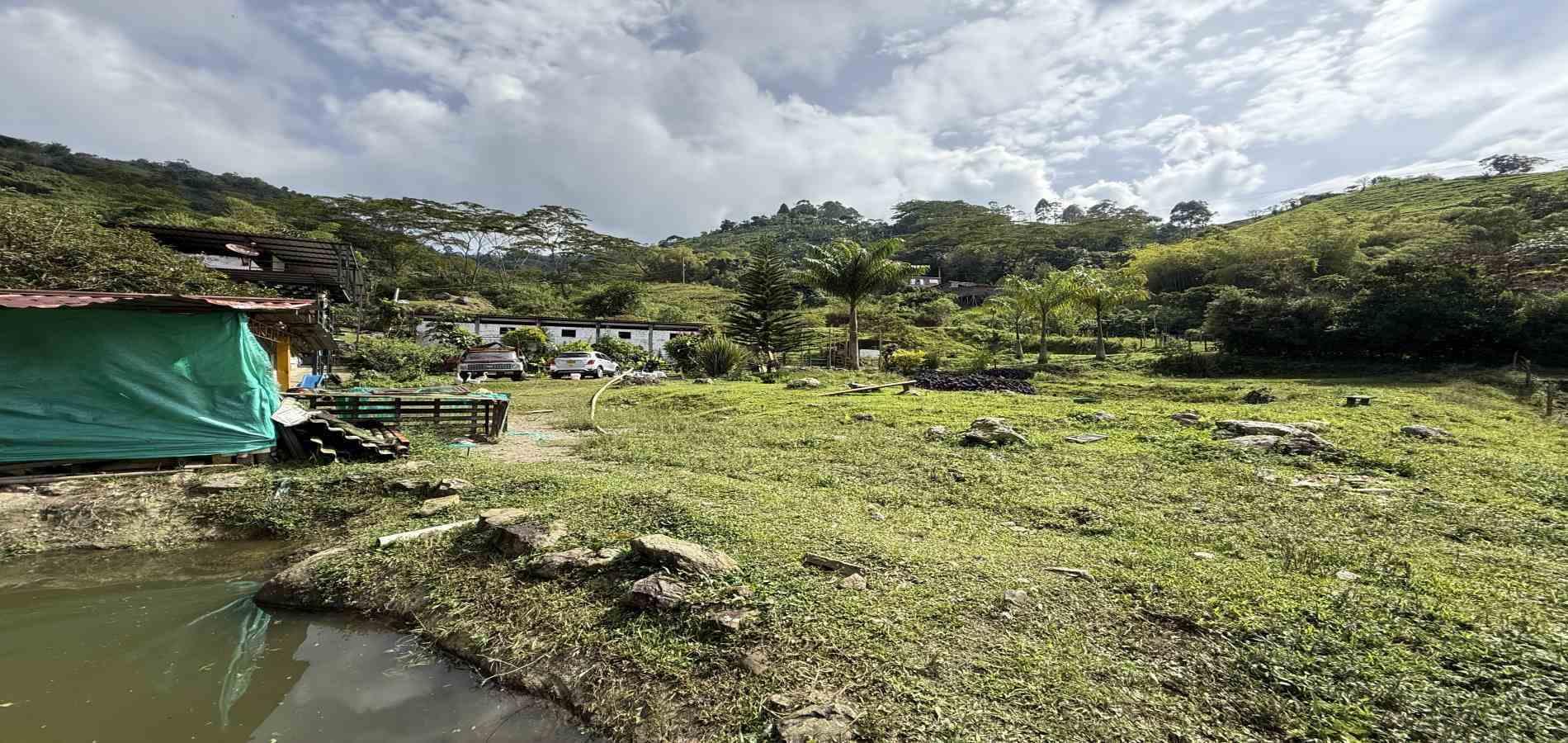 Foto de Finca en Venta en Agua azul, Dosquebradas - 38 - 279063271