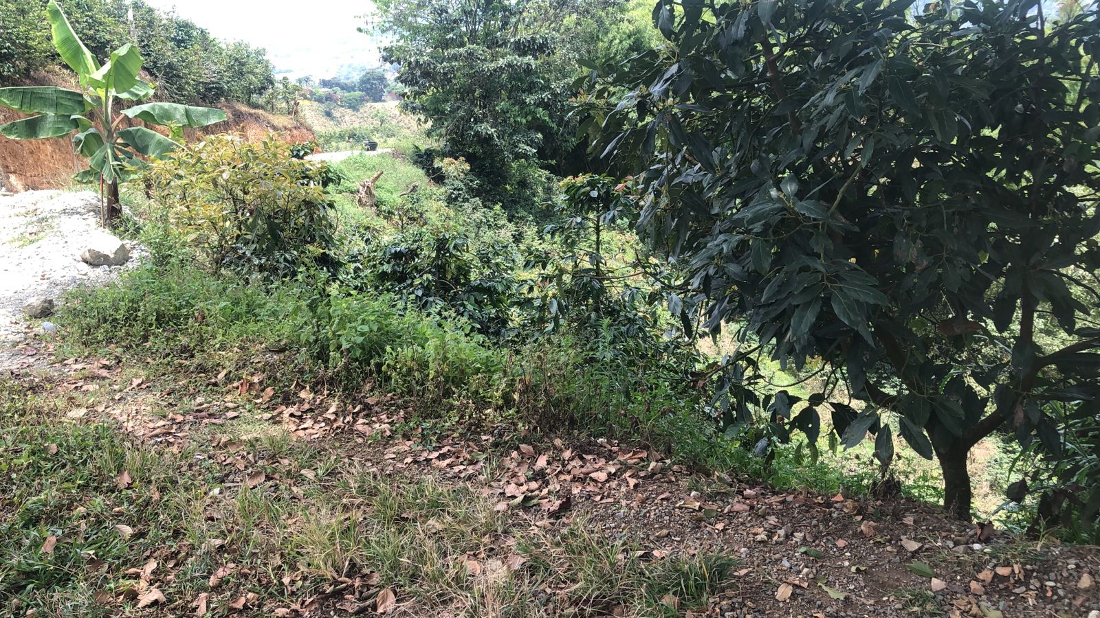 Foto de Lote / terreno en Venta en Dosquebradas, Dosquebradas - 10 - 279053272