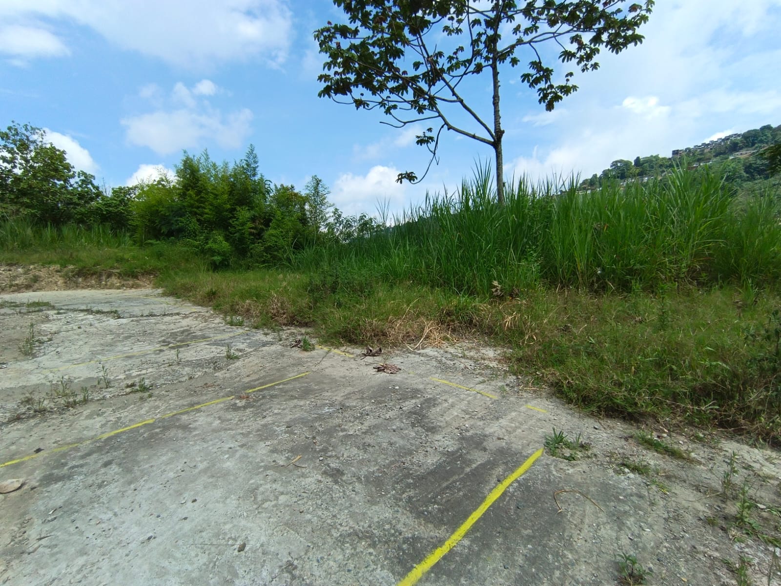 Foto de Lote / terreno en Venta en Panamericana, Manizales - 4 - 279063718