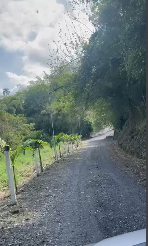 Foto de Lote / terreno en Venta en Via alcala, Pereira - 4 - 279060936