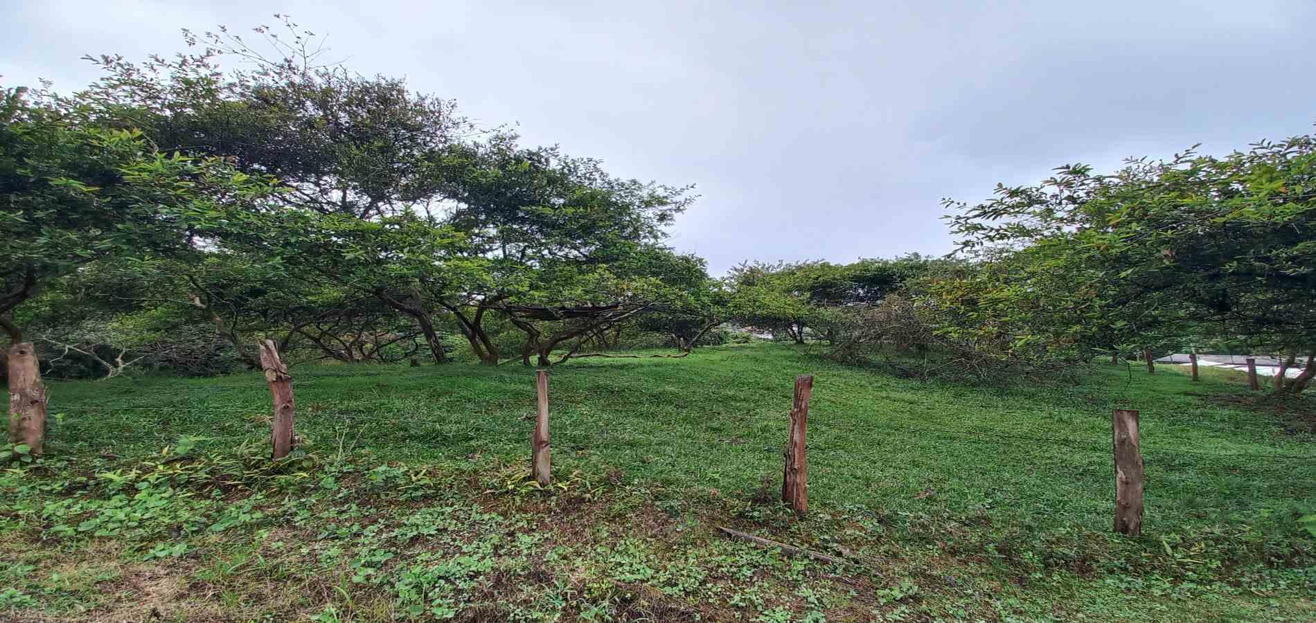 Foto de Lote / terreno en Venta en Veracruz, Santa rosa de cabal - 13 - 279066398