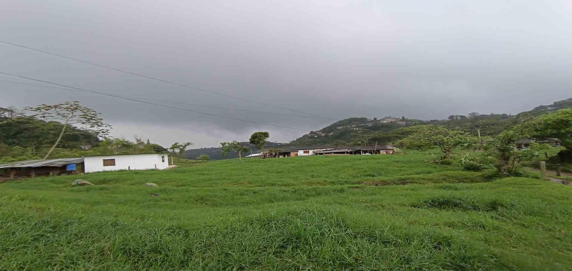Foto de Finca en Venta en La francia, Manizales - 12 - 279066742