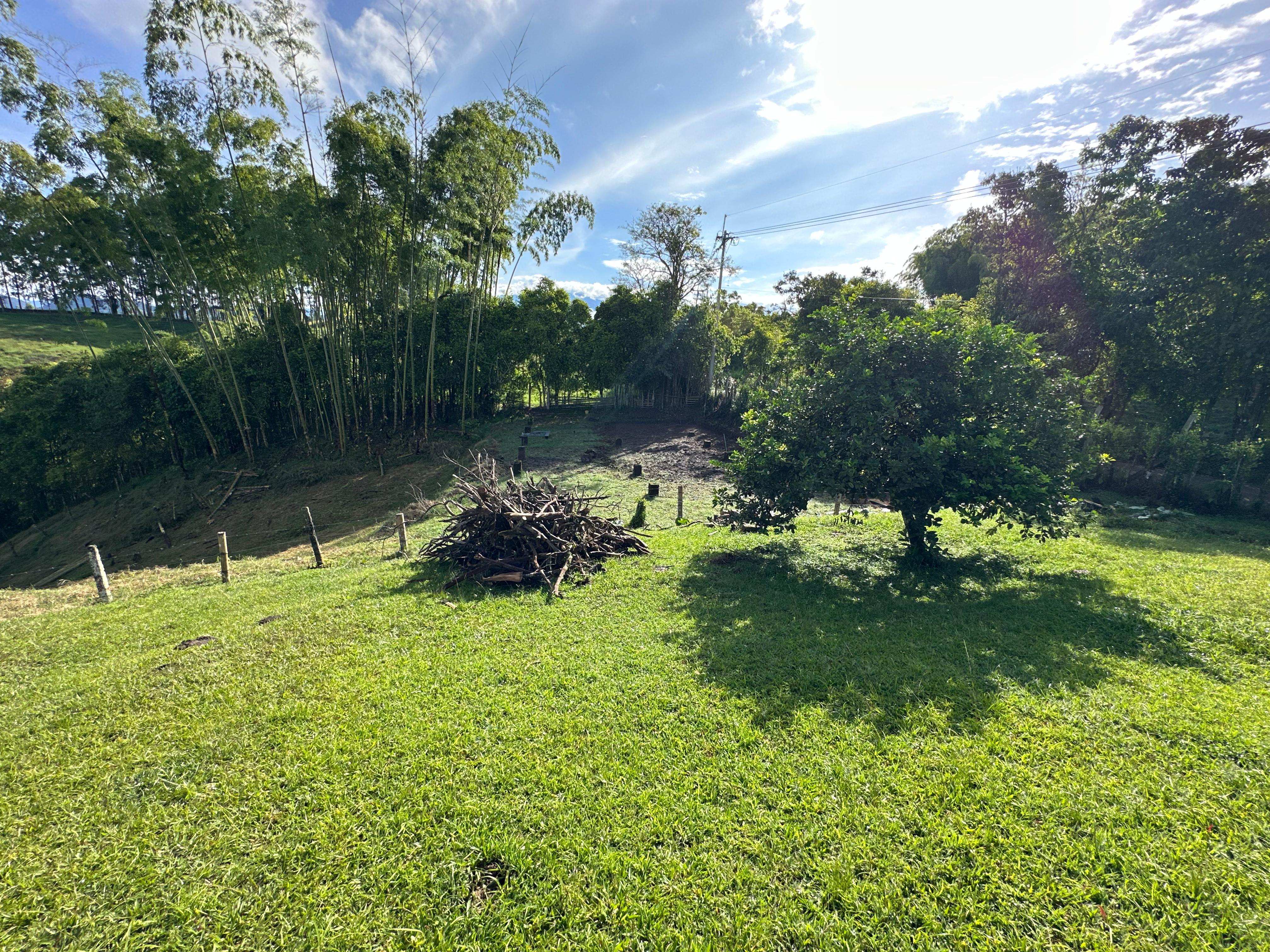 Foto de Finca en Venta en Alto alegrias, Pereira - 8 - 279065672