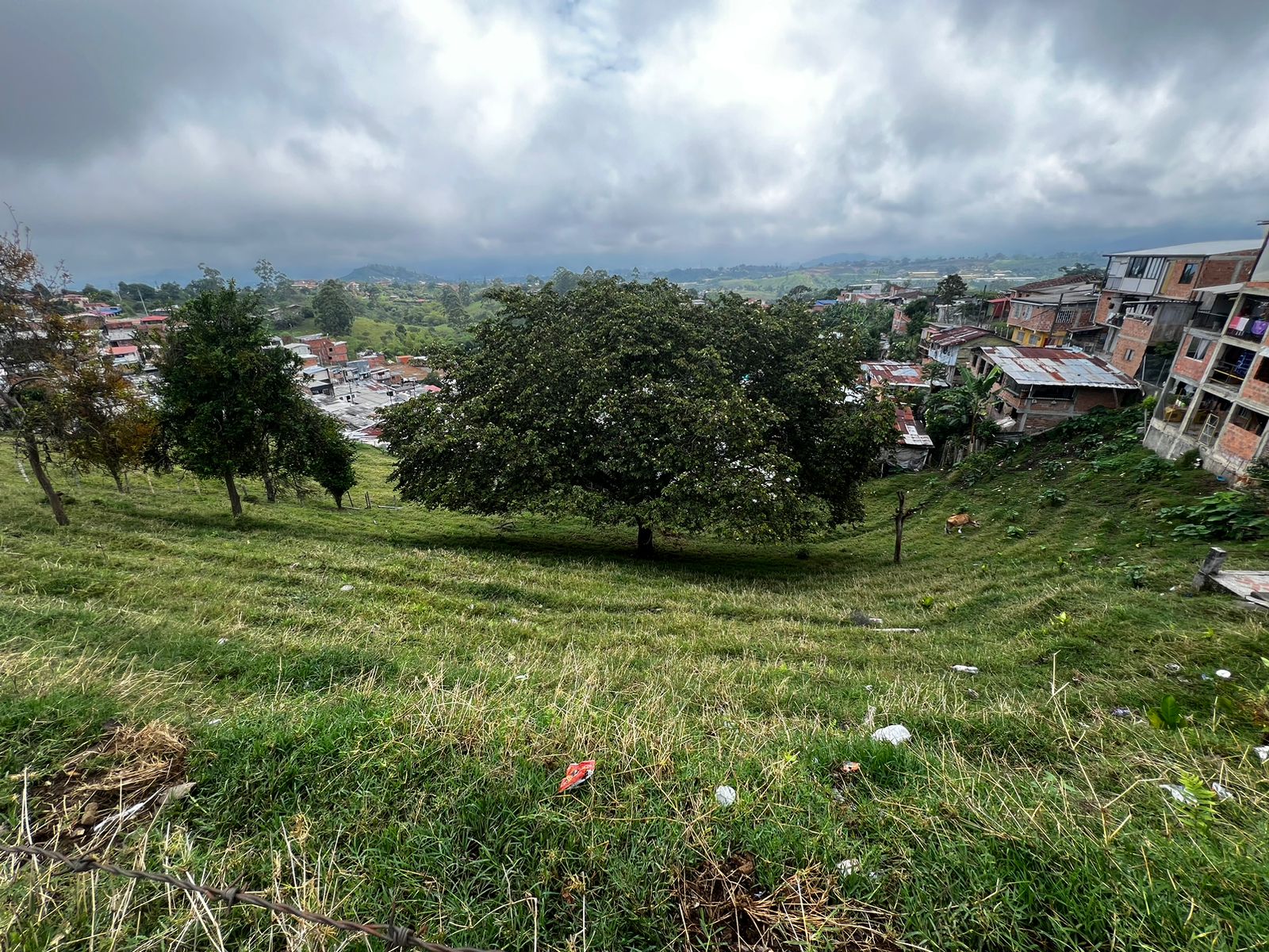 Foto de Lote / terreno en Venta en Altagracia, Pereira - 1 - 279056515