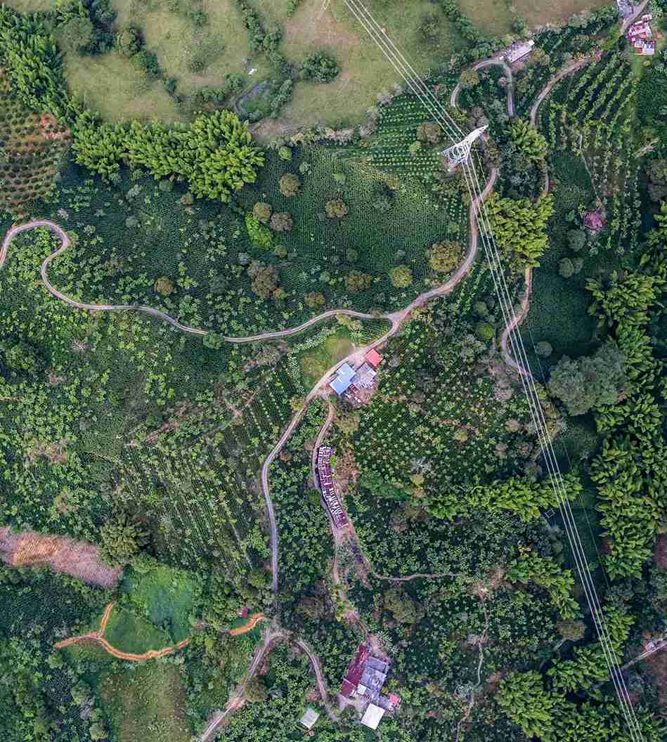 Foto de Finca en Venta en Vereda el corozo, Neira - 1 - 279053406