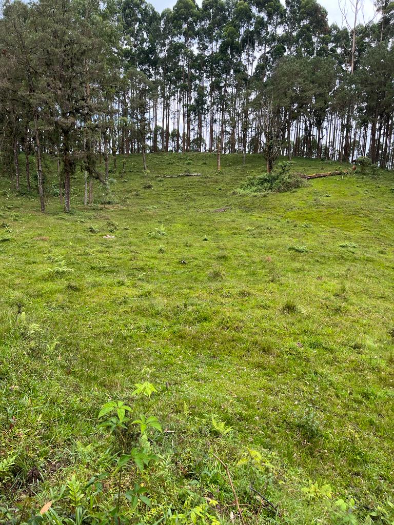 Foto de Lote / terreno en Venta en Via armenia, Pereira - 19 - 279066674
