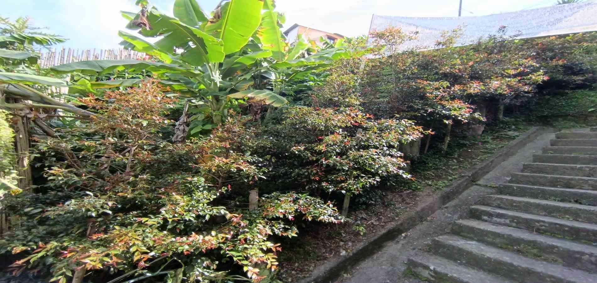 Foto de Lote / terreno en Venta en Campo amor, Manizales - 4 - 279067419