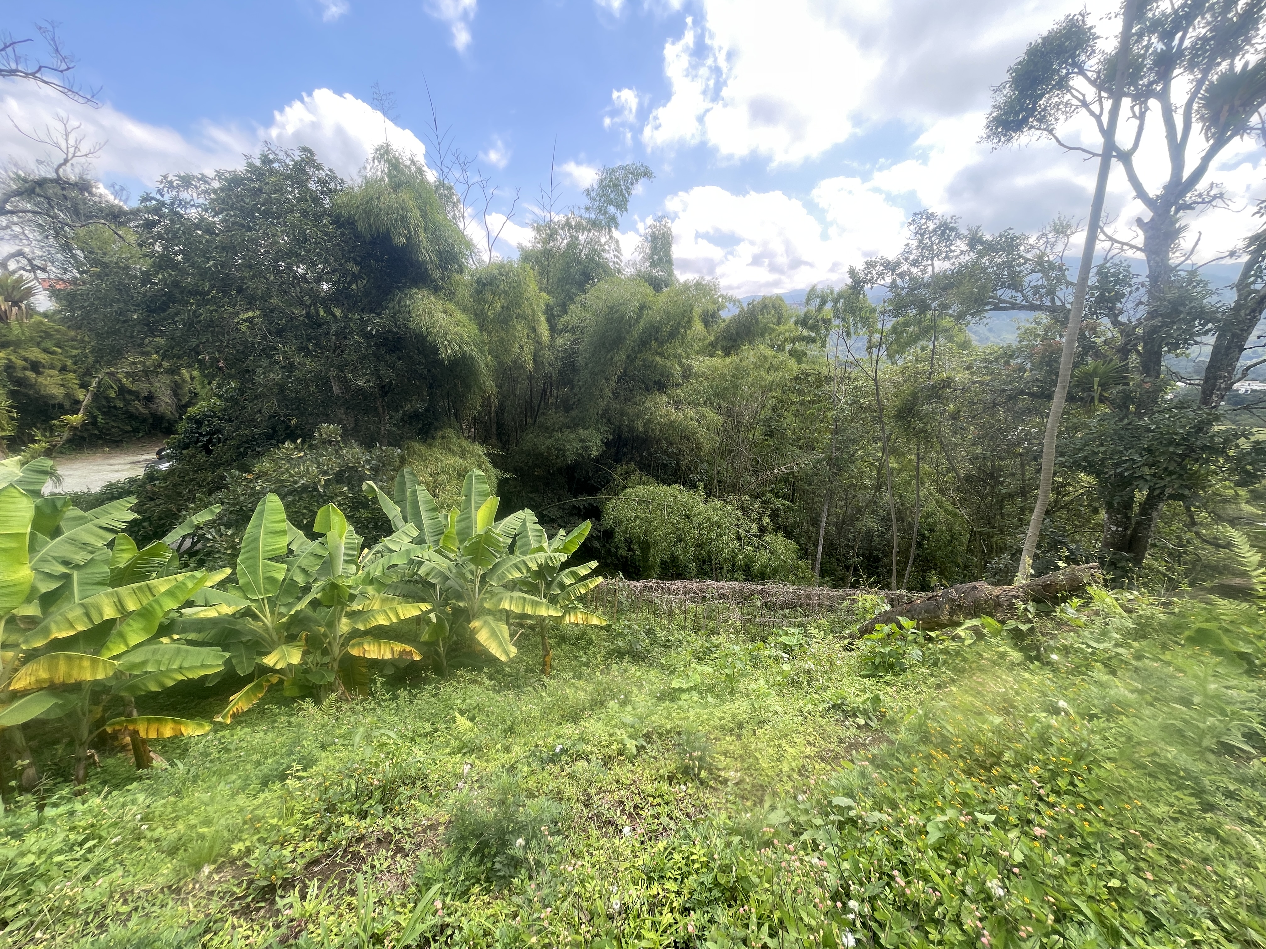 Foto de Lote / terreno para Venta en Av bolivar, Armenia  - 279065795